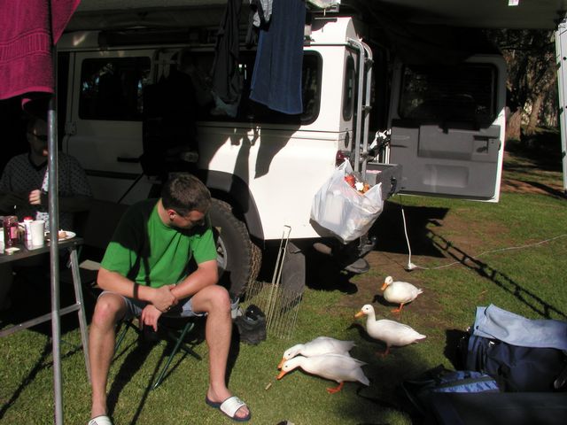 Click to see next picture