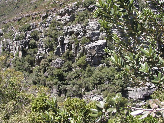 Click to see next picture