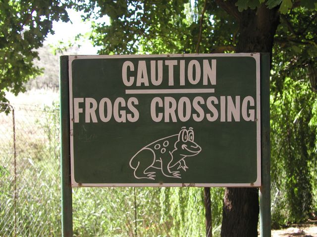 Click to see next picture